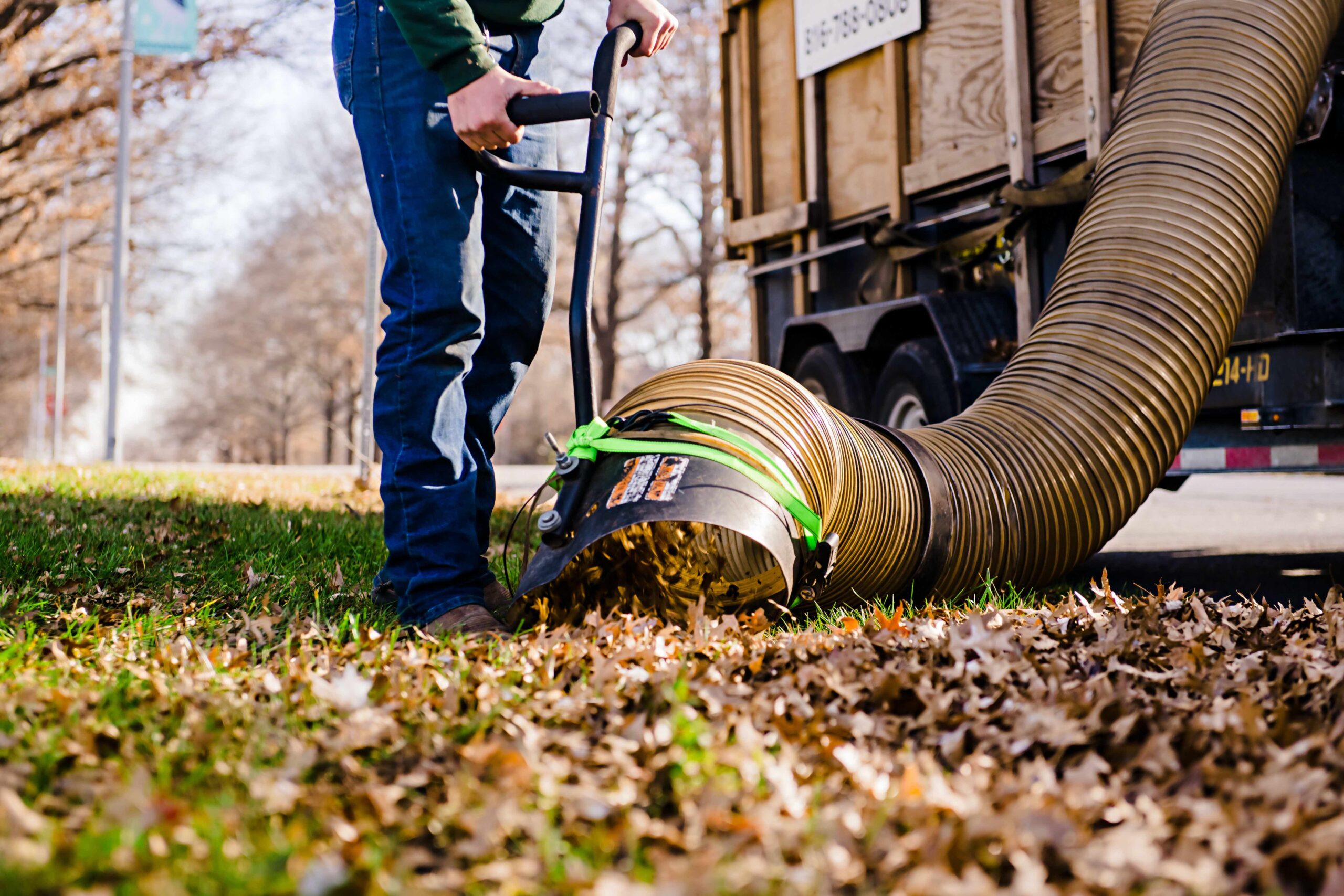Leaf Removal Season – Schedule Your Leaf Pickup Today!