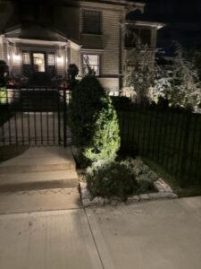 landscape uplighting